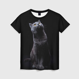Женская футболка 3D с принтом Милый котик , 100% полиэфир ( синтетическое хлопкоподобное полотно) | прямой крой, круглый вырез горловины, длина до линии бедер | кот | котенок | кошка | милый | пушистый | черный