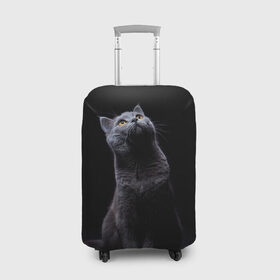 Чехол для чемодана 3D с принтом Милый котик , 86% полиэфир, 14% спандекс | двустороннее нанесение принта, прорези для ручек и колес | Тематика изображения на принте: кот | котенок | кошка | милый | пушистый | черный