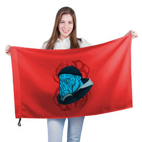 Флаг 3D с принтом Jeembo Grime , 100% полиэстер | плотность ткани — 95 г/м2, размер — 67 х 109 см. Принт наносится с одной стороны | jeembo | джангирян | джимбо