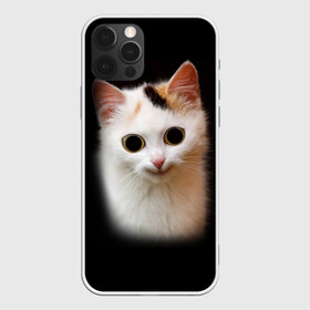 Чехол для iPhone 12 Pro Max с принтом Котик , Силикон |  | Тематика изображения на принте: глаза большие | кот | котенок | кошка | мордочка | смешной