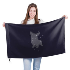 Флаг 3D с принтом Корги , 100% полиэстер | плотность ткани — 95 г/м2, размер — 67 х 109 см. Принт наносится с одной стороны | corgi | dog | dogs | корги | пес | порода | собака | щенки | щенок