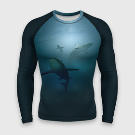 Мужской рашгард 3D с принтом Акулы ,  |  | Тематика изображения на принте: море | океан | подводный мир | рыба | хищник