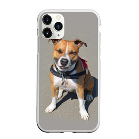 Чехол для iPhone 11 Pro матовый с принтом Стаффордшир , Силикон |  | Тематика изображения на принте: животные | пес | питбуль | природа | собака | стафф | стаффордшир | стаффордширский терьер