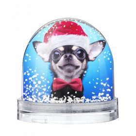 Водяной шар с принтом рождество , Пластик | Изображение внутри шара печатается на глянцевой фотобумаге с двух сторон | dog | happy new year | бантик | взгляд | глаза | новый год | пинчер | праздник | санта клаус | собака | той терьер
