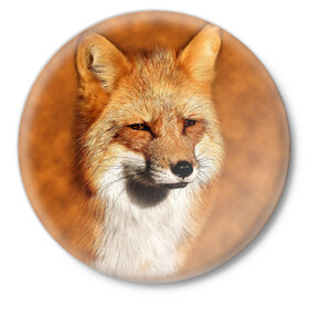 Значок с принтом Лисичка ,  металл | круглая форма, металлическая застежка в виде булавки | Тематика изображения на принте: животные | зверь | лиса | лисичка | природа | рыжая | фыр