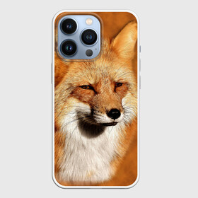Чехол для iPhone 13 Pro с принтом Лисичка ,  |  | Тематика изображения на принте: животные | зверь | лиса | лисичка | природа | рыжая | фыр