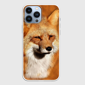 Чехол для iPhone 13 Pro Max с принтом Лисичка ,  |  | Тематика изображения на принте: животные | зверь | лиса | лисичка | природа | рыжая | фыр