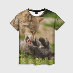 Женская футболка 3D с принтом Волки , 100% полиэфир ( синтетическое хлопкоподобное полотно) | прямой крой, круглый вырез горловины, длина до линии бедер | волк | волки | животные | злость | оскал | рык | собака | хищник
