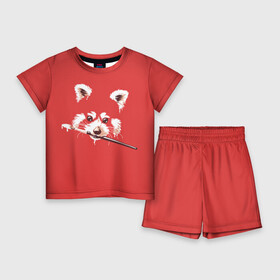 Детский костюм с шортами 3D с принтом Красная панда ,  |  | енот | кисть | лиса | малая панда | художник