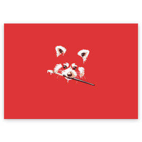 Поздравительная открытка с принтом Красная панда , 100% бумага | плотность бумаги 280 г/м2, матовая, на обратной стороне линовка и место для марки
 | енот | кисть | лиса | малая панда | художник