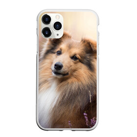 Чехол для iPhone 11 Pro матовый с принтом Шелти , Силикон |  | dog | взгляд | колли | собака