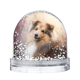 Снежный шар с принтом Шелти , Пластик | Изображение внутри шара печатается на глянцевой фотобумаге с двух сторон | dog | взгляд | колли | собака