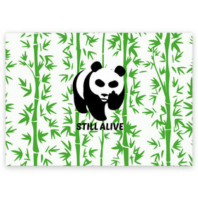 Поздравительная открытка с принтом Still Alive , 100% бумага | плотность бумаги 280 г/м2, матовая, на обратной стороне линовка и место для марки
 | alive | bamboo | green | greenpeace | panga | peace | still | бамбук | грин | гринпис | живая | живой | зеленый | мир | панда | панды | пис