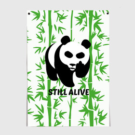 Постер с принтом Still Alive , 100% бумага
 | бумага, плотность 150 мг. Матовая, но за счет высокого коэффициента гладкости имеет небольшой блеск и дает на свету блики, но в отличии от глянцевой бумаги не покрыта лаком | alive | bamboo | green | greenpeace | panga | peace | still | бамбук | грин | гринпис | живая | живой | зеленый | мир | панда | панды | пис