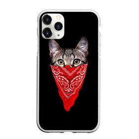 Чехол для iPhone 11 Pro матовый с принтом Gangsta Cat , Силикон |  | cat | cats | gangsta | kitten | kitty | pussy | гангстер | кот | котенок | котик | котики | коты | котята | кошка | кошки | платок