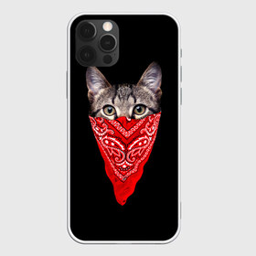 Чехол для iPhone 12 Pro Max с принтом Gangsta Cat , Силикон |  | cat | cats | gangsta | kitten | kitty | pussy | гангстер | кот | котенок | котик | котики | коты | котята | кошка | кошки | платок