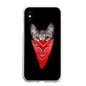 Чехол для iPhone XS Max матовый с принтом Gangsta Cat , Силикон | Область печати: задняя сторона чехла, без боковых панелей | cat | cats | gangsta | kitten | kitty | pussy | гангстер | кот | котенок | котик | котики | коты | котята | кошка | кошки | платок