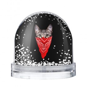 Водяной шар с принтом Gangsta Cat , Пластик | Изображение внутри шара печатается на глянцевой фотобумаге с двух сторон | cat | cats | gangsta | kitten | kitty | pussy | гангстер | кот | котенок | котик | котики | коты | котята | кошка | кошки | платок
