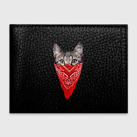 Обложка для студенческого билета с принтом Gangsta Cat , натуральная кожа | Размер: 11*8 см; Печать на всей внешней стороне | cat | cats | gangsta | kitten | kitty | pussy | гангстер | кот | котенок | котик | котики | коты | котята | кошка | кошки | платок