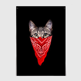 Постер с принтом Gangsta Cat , 100% бумага
 | бумага, плотность 150 мг. Матовая, но за счет высокого коэффициента гладкости имеет небольшой блеск и дает на свету блики, но в отличии от глянцевой бумаги не покрыта лаком | cat | cats | gangsta | kitten | kitty | pussy | гангстер | кот | котенок | котик | котики | коты | котята | кошка | кошки | платок