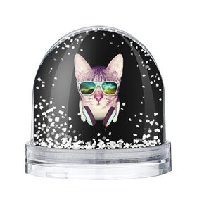 Водяной шар с принтом Кот в Наушниках , Пластик | Изображение внутри шара печатается на глянцевой фотобумаге с двух сторон | cat | cats | kitten | kitty | pussy | диджей | кот | котенок | котик | котики | коты | котята | кошка | кошки | наушники | очки