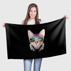 Флаг 3D с принтом Кот в Наушниках , 100% полиэстер | плотность ткани — 95 г/м2, размер — 67 х 109 см. Принт наносится с одной стороны | cat | cats | kitten | kitty | pussy | диджей | кот | котенок | котик | котики | коты | котята | кошка | кошки | наушники | очки