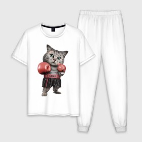 Мужская пижама хлопок с принтом Кот боксёр , 100% хлопок | брюки и футболка прямого кроя, без карманов, на брюках мягкая резинка на поясе и по низу штанин
 | Тематика изображения на принте: боец | бокс | боксёр | кот | котёнок | кошак | кошка | кулак | спорт | шорты