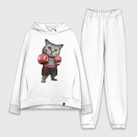 Женский костюм хлопок Oversize с принтом Кот боксёр ,  |  | боец | бокс | боксёр | кот | котёнок | кошак | кошка | кулак | спорт | шорты