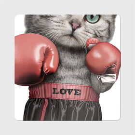 Магнит виниловый Квадрат с принтом Кот боксёр , полимерный материал с магнитным слоем | размер 9*9 см, закругленные углы | Тематика изображения на принте: боец | бокс | боксёр | кот | котёнок | кошак | кошка | кулак | спорт | шорты