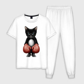 Мужская пижама хлопок с принтом Котёнок боксёр , 100% хлопок | брюки и футболка прямого кроя, без карманов, на брюках мягкая резинка на поясе и по низу штанин
 | Тематика изображения на принте: боец | бокс | боксёр | кот | котёнок | кошак | кошка | кулак | спорт | шорты
