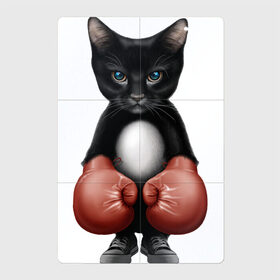 Магнитный плакат 2Х3 с принтом Котёнок боксёр , Полимерный материал с магнитным слоем | 6 деталей размером 9*9 см | боец | бокс | боксёр | кот | котёнок | кошак | кошка | кулак | спорт | шорты