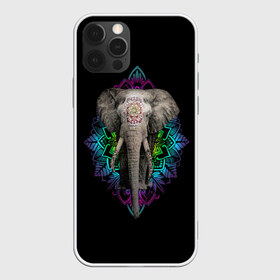 Чехол для iPhone 12 Pro Max с принтом Индийский Слон , Силикон |  | africa | elephant | elephants | india | ornament | pattern | skin | tusks | африка | бивни | индия | кожа | орнамент | слон | слоненок | слоник | слоники | слоны | слонята | узор | хобот