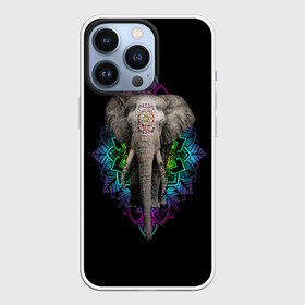 Чехол для iPhone 13 Pro с принтом Индийский Слон ,  |  | africa | elephant | elephants | india | ornament | pattern | skin | tusks | африка | бивни | индия | кожа | орнамент | слон | слоненок | слоник | слоники | слоны | слонята | узор | хобот