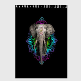 Скетчбук с принтом Индийский Слон , 100% бумага
 | 48 листов, плотность листов — 100 г/м2, плотность картонной обложки — 250 г/м2. Листы скреплены сверху удобной пружинной спиралью | africa | elephant | elephants | india | ornament | pattern | skin | tusks | африка | бивни | индия | кожа | орнамент | слон | слоненок | слоник | слоники | слоны | слонята | узор | хобот