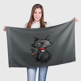 Флаг 3D с принтом Кот бедолага , 100% полиэстер | плотность ткани — 95 г/м2, размер — 67 х 109 см. Принт наносится с одной стороны | Тематика изображения на принте: кот | череп | черный