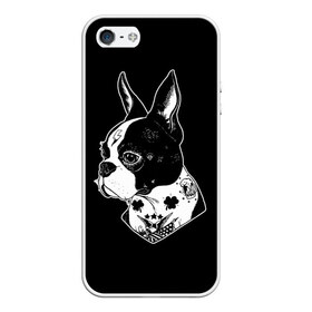Чехол для iPhone 5/5S матовый с принтом Французский Бульдог , Силикон | Область печати: задняя сторона чехла, без боковых панелей | bulldog | dog | dogs | franch | бульдог | пес | псы | собака | собакен | собаки | собачка | собачки | французский | щенки | щенок | щеночек | щеночки