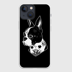 Чехол для iPhone 13 mini с принтом Французский Бульдог ,  |  | bulldog | dog | dogs | franch | бульдог | пес | псы | собака | собакен | собаки | собачка | собачки | французский | щенки | щенок | щеночек | щеночки