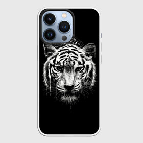 Чехол для iPhone 13 Pro с принтом Dark Tiger ,  |  | Тематика изображения на принте: africa | creepy | dark | desert | predator | scary | tiger | tigers | африка | жуткий | мрачный | пустыня | страшный | тигр | тигренок | тигрица | тигрицы | тигры | тигрята | хищник