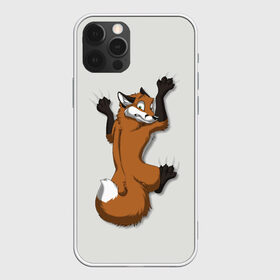 Чехол для iPhone 12 Pro Max с принтом Лис Вцепился , Силикон |  | cute | fox | foxes | ginger | tail | вцепился | забавная | капаркается | лис | лиса | лисица | лисицы | лисичка | лисички | лисы | милая | рыжая | рыжие | смешная | фыр | хвост | хвосты