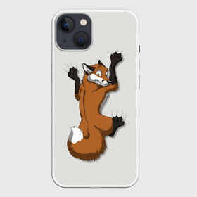 Чехол для iPhone 13 с принтом Лис Вцепился ,  |  | cute | fox | foxes | ginger | tail | вцепился | забавная | капаркается | лис | лиса | лисица | лисицы | лисичка | лисички | лисы | милая | рыжая | рыжие | смешная | фыр | хвост | хвосты