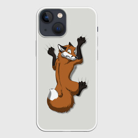 Чехол для iPhone 13 mini с принтом Лис Вцепился ,  |  | cute | fox | foxes | ginger | tail | вцепился | забавная | капаркается | лис | лиса | лисица | лисицы | лисичка | лисички | лисы | милая | рыжая | рыжие | смешная | фыр | хвост | хвосты