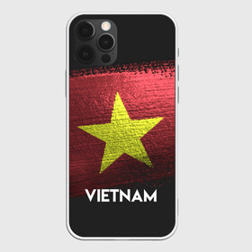 Чехол для iPhone 12 Pro с принтом VIETNAM(Вьетнам) , силикон | область печати: задняя сторона чехла, без боковых панелей | urban | vietnam | город | мир | путешествие | символика | страны | флаг