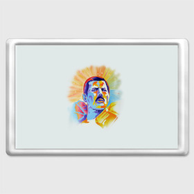 Магнит 45*70 с принтом Freddie Mercury , Пластик | Размер: 78*52 мм; Размер печати: 70*45 | freddie mercury | queen | фредди меркьюри