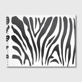 Альбом для рисования с принтом Зебра принт , 100% бумага
 | матовая бумага, плотность 200 мг. | абстракция | африка | белый | зебра | парнокопытное | принт | сафари | чб | черный