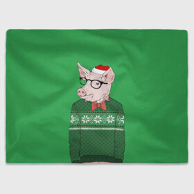 Плед 3D с принтом New Year Hipster Pig , 100% полиэстер | закругленные углы, все края обработаны. Ткань не мнется и не растягивается | 2019 | merry christmas | new year | год свиньи | зима | новый год | поросенок | праздник | рождество | свинка | свинья
