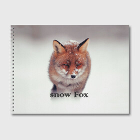 Альбом для рисования с принтом Снежный лис , 100% бумага
 | матовая бумага, плотность 200 мг. | голова | животные | лис | лиса | мордочка | природа | рыжая | снежный