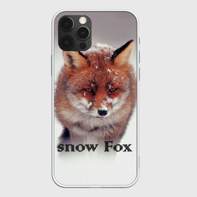 Чехол для iPhone 12 Pro Max с принтом Снежный лис , Силикон |  | Тематика изображения на принте: голова | животные | лис | лиса | мордочка | природа | рыжая | снежный