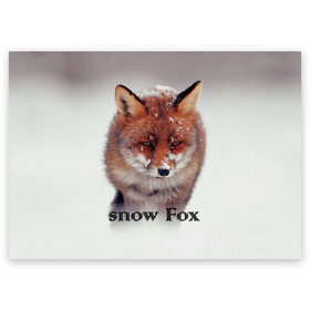 Поздравительная открытка с принтом Снежный лис , 100% бумага | плотность бумаги 280 г/м2, матовая, на обратной стороне линовка и место для марки
 | Тематика изображения на принте: голова | животные | лис | лиса | мордочка | природа | рыжая | снежный