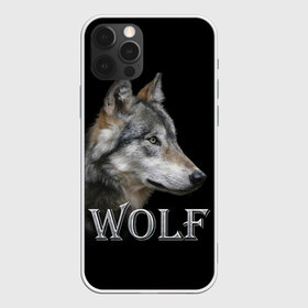 Чехол для iPhone 12 Pro Max с принтом Wolf , Силикон |  | волк | животные | мордочка | пес | природа | собака | хищник