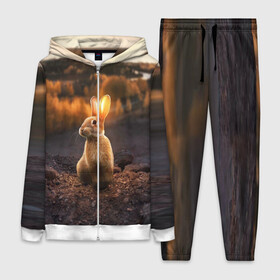 Женский костюм 3D с принтом Солнечный зайчик ,  |  | заяц | кролик | лес | пейзаж | поле | природа | пушистый | солнце | уши